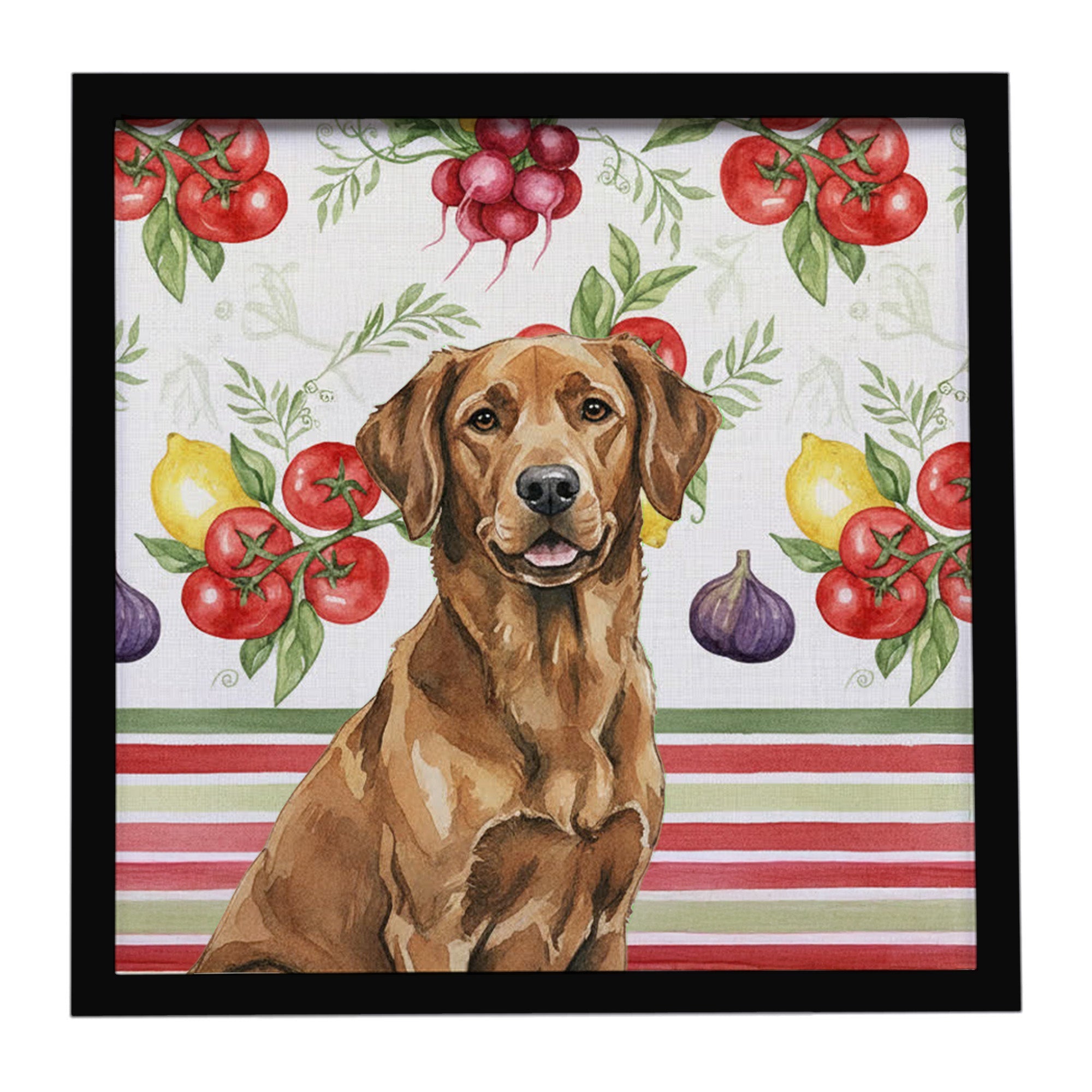 Chesapeake Bay Retriever Vegetables Framed Metal Print Bathroom, Kitchen, Office, Home Decor Wall Art Ready to Hang, Square, 8X8