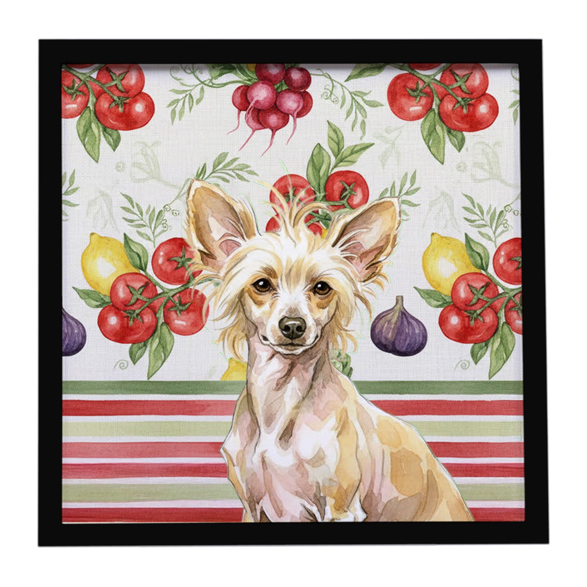 Hairless Palomino Chinese Crested Vegetables Framed Metal Print Bathroom, Kitchen, Office, Home Decor Wall Art Ready to Hang, Square, 8X8