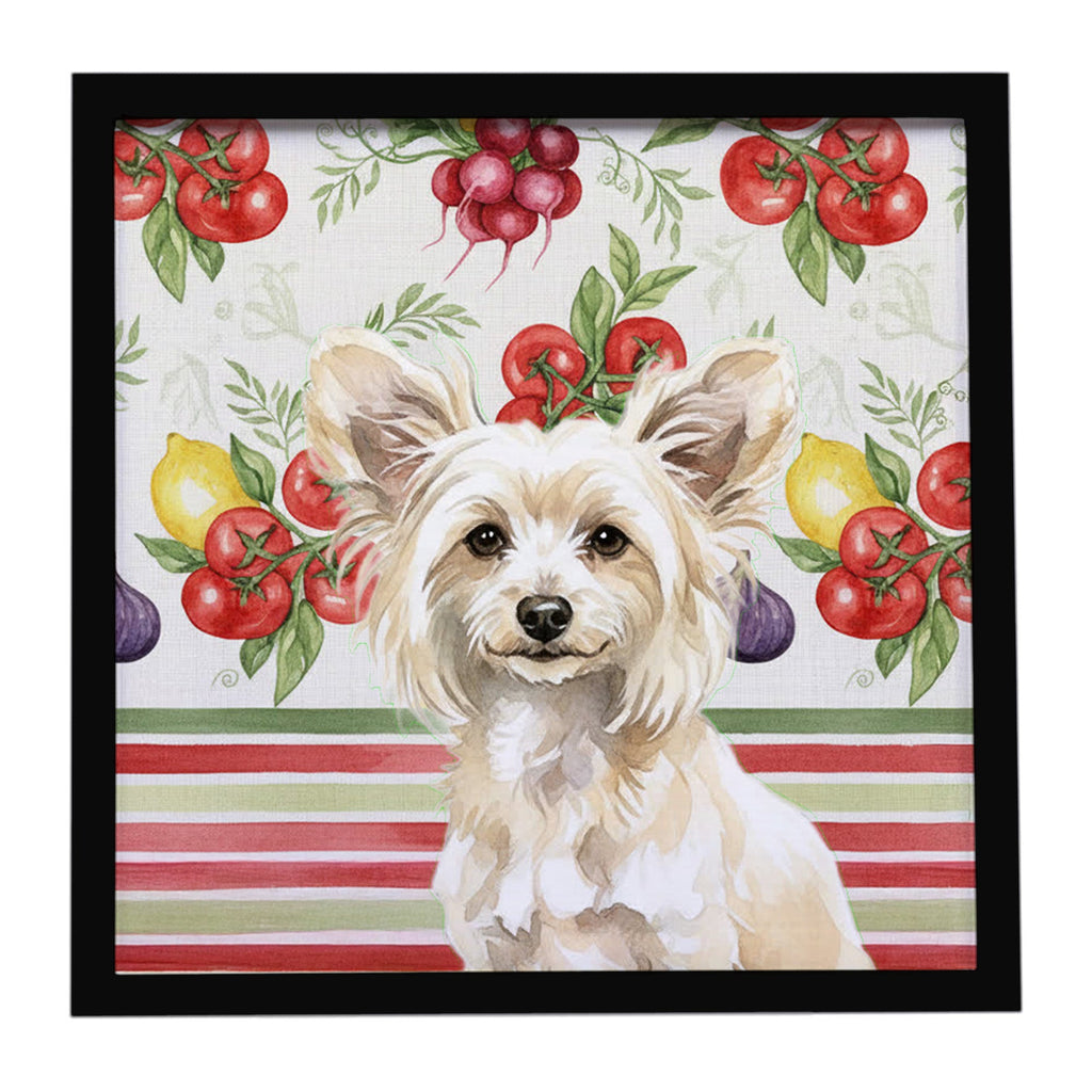 Powderpuff Chinese Crested Vegetables Framed Metal Print Bathroom, Kitchen, Office, Home Decor Wall Art Ready to Hang, Square, 8X8