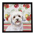 Coton de Tulear Vegetables Framed Metal Print Bathroom, Kitchen, Office, Home Decor Wall Art Ready to Hang, Square, 8X8