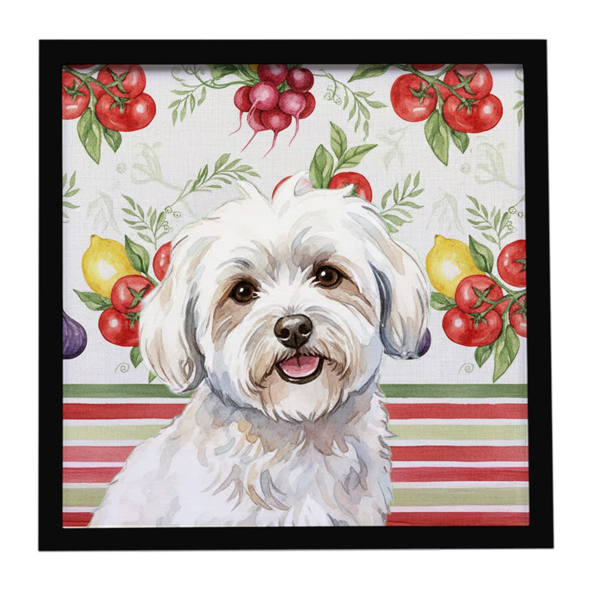 Coton de Tulear Vegetables Framed Metal Print Bathroom, Kitchen, Office, Home Decor Wall Art Ready to Hang, Square, 8X8