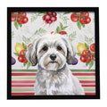White with Gray Coton de Tulear Vegetables Framed Metal Print Bathroom, Kitchen, Office, Home Decor Wall Art Ready to Hang, Square, 8X8