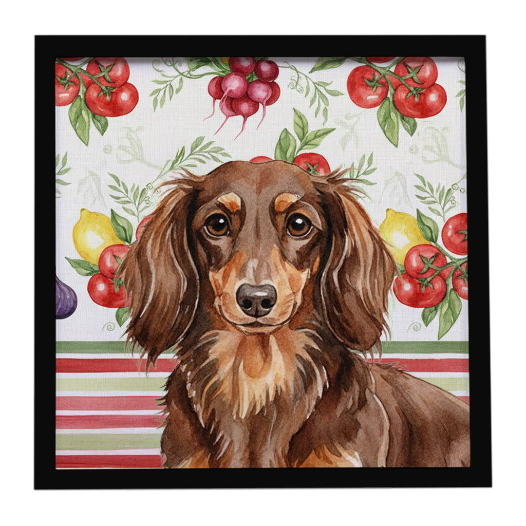 Longhaired Chocolate and Tan Dachshund Vegetables Framed Metal Print Bathroom, Kitchen, Office, Home Decor Wall Art Ready to Hang, Square, 8X8