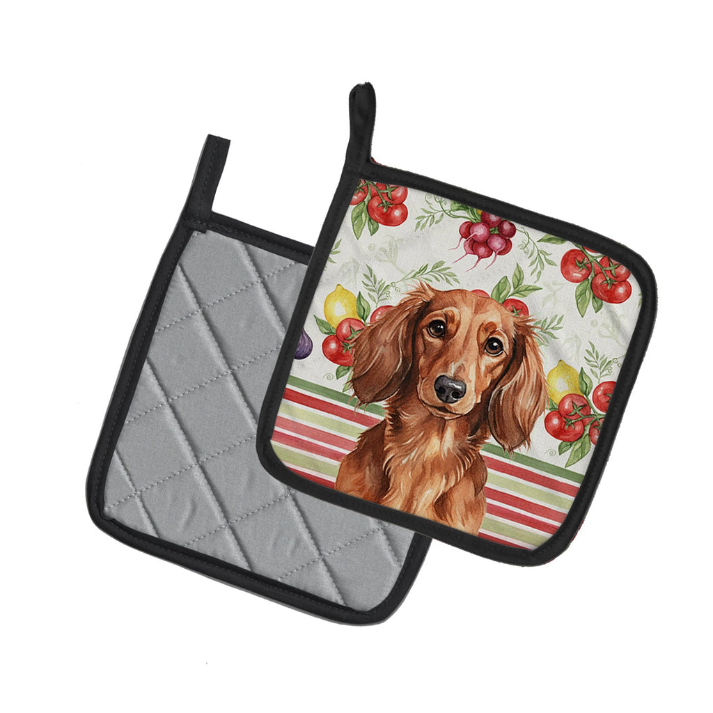 Longhaired Red Dachshund Vegetables Pot Holder Set of 2 Heat Resistant Quilted Hot Pads 7.5 x 7.5 Inch, Insulated Kitchen Trivets for Cooking & Baking