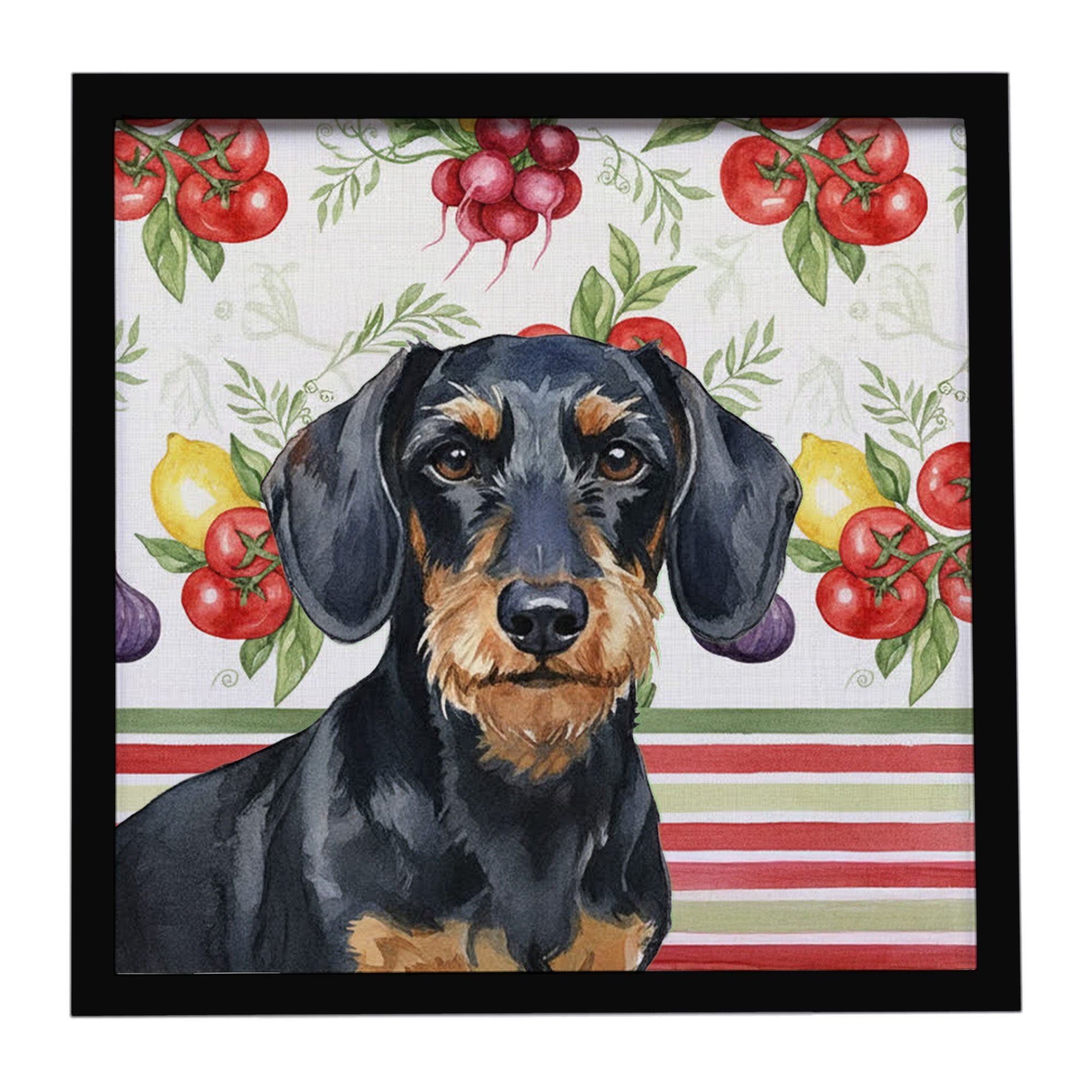 Wirehaired Black and Tan Dachshund Vegetables Framed Metal Print Bathroom, Kitchen, Office, Home Decor Wall Art Ready to Hang, Square, 8X8