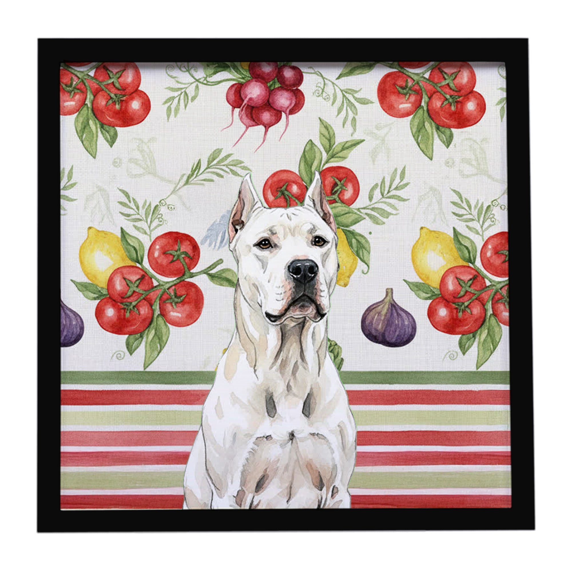 Dogo Argentino Vegetables Framed Metal Print Bathroom, Kitchen, Office, Home Decor Wall Art Ready to Hang, Square, 8X8