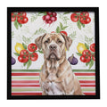 Isabella Dogue de Bordeaux Vegetables Framed Metal Print Bathroom, Kitchen, Office, Home Decor Wall Art Ready to Hang, Square, 8X8