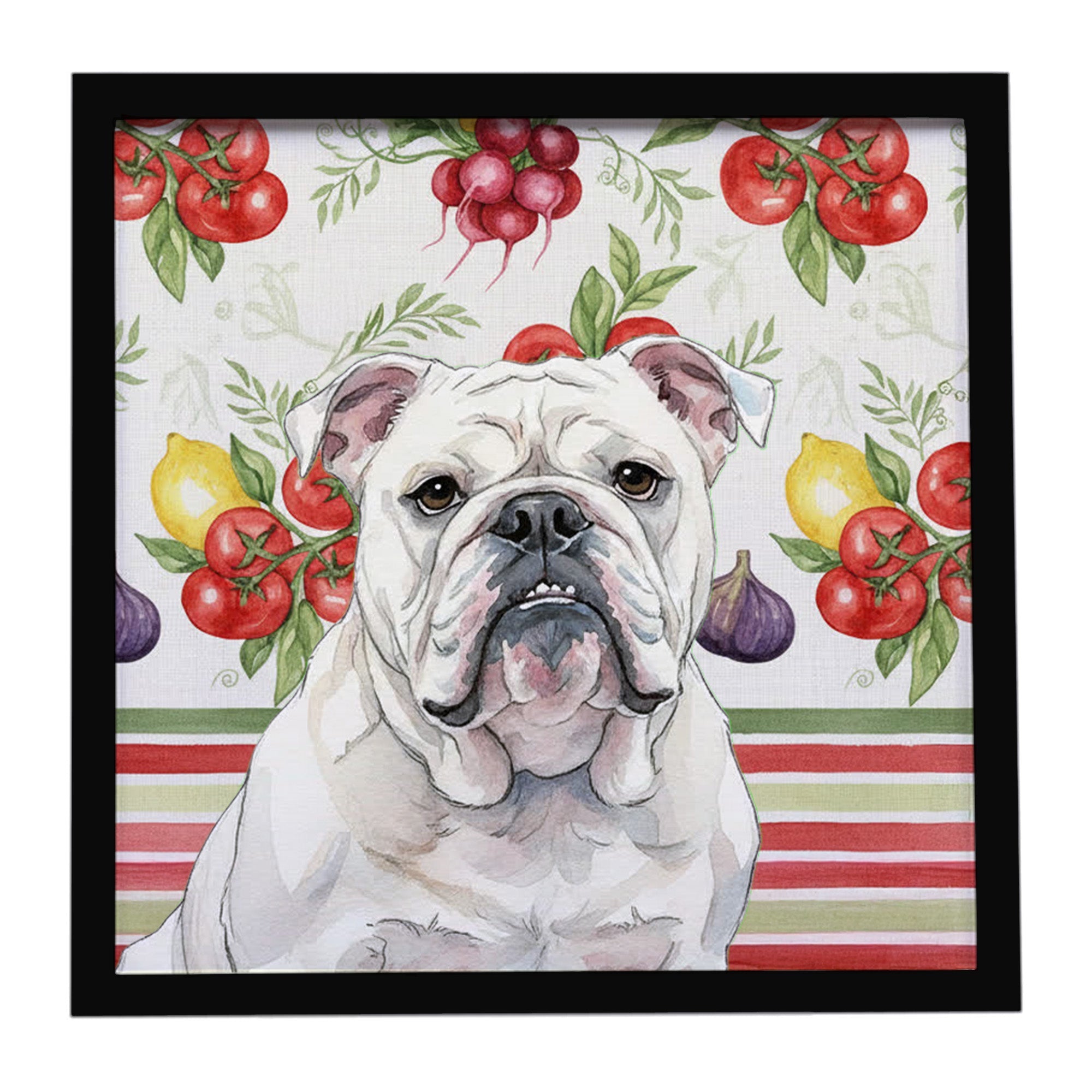 White English Bulldog Vegetables Framed Metal Print Bathroom, Kitchen, Office, Home Decor Wall Art Ready to Hang, Square, 8X8