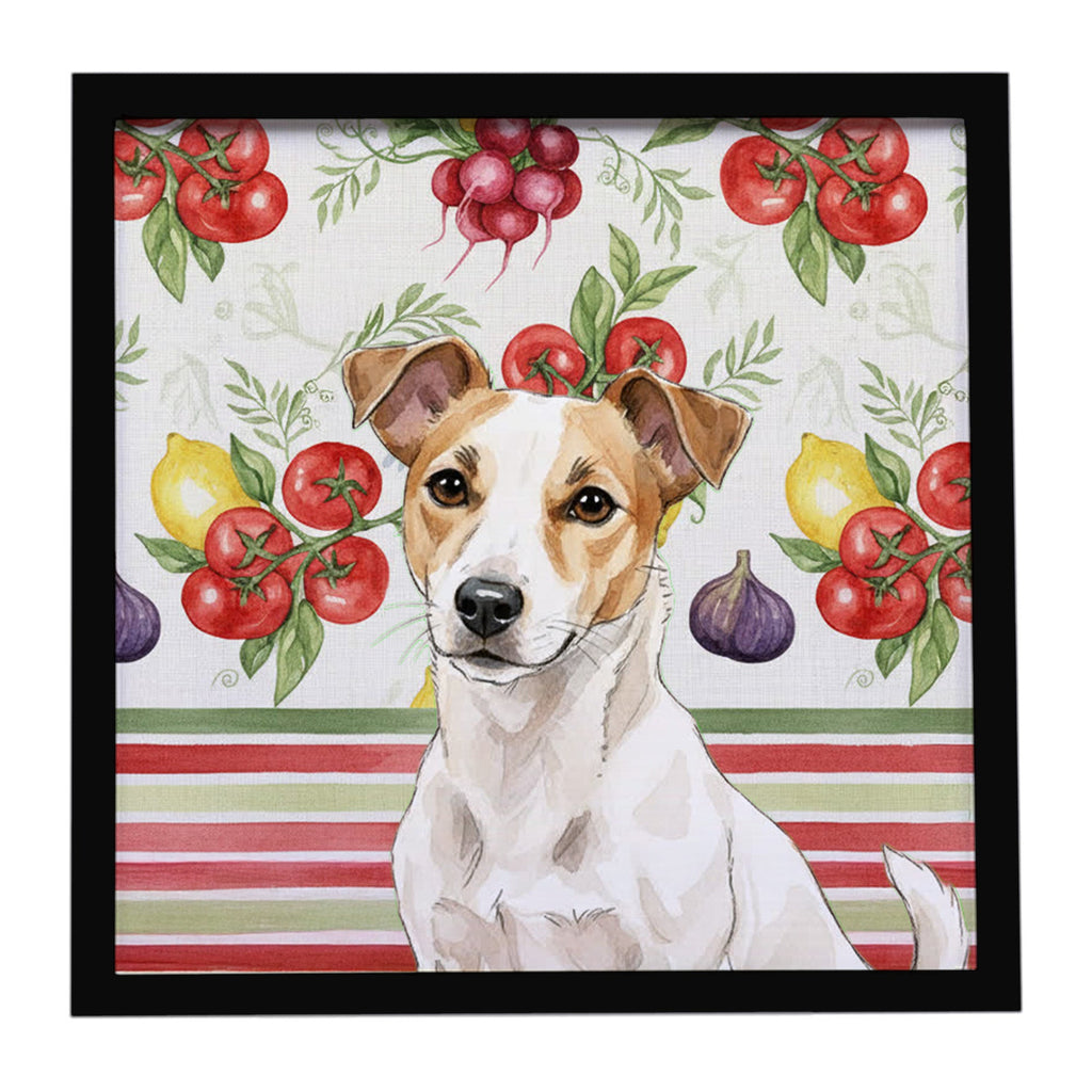 White and Tan Jack Russell Terrier Vegetables Framed Metal Print Bathroom, Kitchen, Office, Home Decor Wall Art Ready to Hang, Square, 8X8