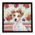 White and Tan Jack Russell Terrier Vegetables Framed Metal Print Bathroom, Kitchen, Office, Home Decor Wall Art Ready to Hang, Square, 8X8