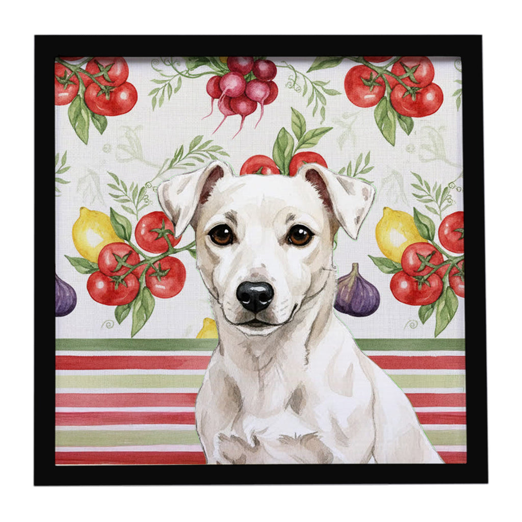 White Jack Russell Terrier Vegetables Framed Metal Print Bathroom, Kitchen, Office, Home Decor Wall Art Ready to Hang, Square, 8X8