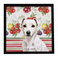 White Jack Russell Terrier Vegetables Framed Metal Print Bathroom, Kitchen, Office, Home Decor Wall Art Ready to Hang, Square, 8X8
