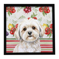 White Lhasa Apso Vegetables Framed Metal Print Bathroom, Kitchen, Office, Home Decor Wall Art Ready to Hang, Square, 8X8