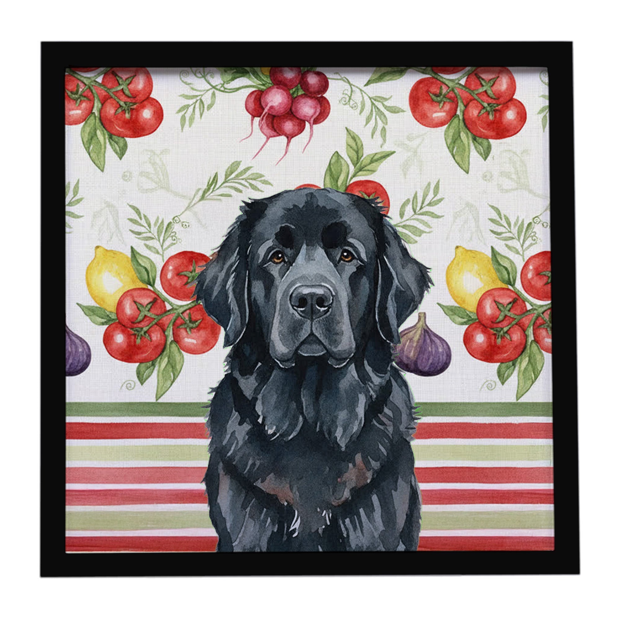 Black Newfoundland Vegetables Framed Metal Print Bathroom, Kitchen, Office, Home Decor Wall Art Ready to Hang, Square, 8X8