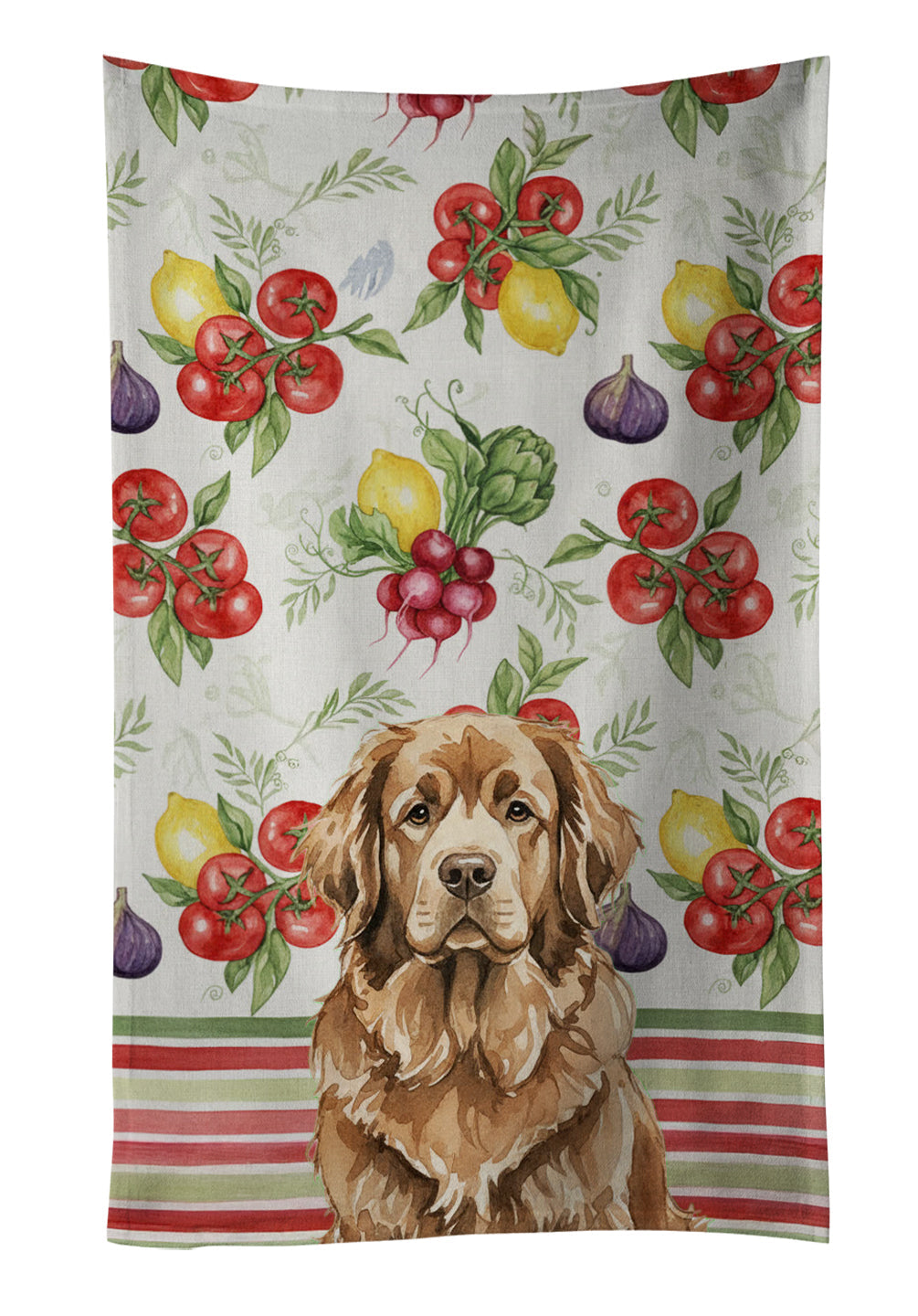 Brown Newfoundland Vegetables Kitchen Towel Velour Plush Front and Cotton Loop Back Machine Washable
