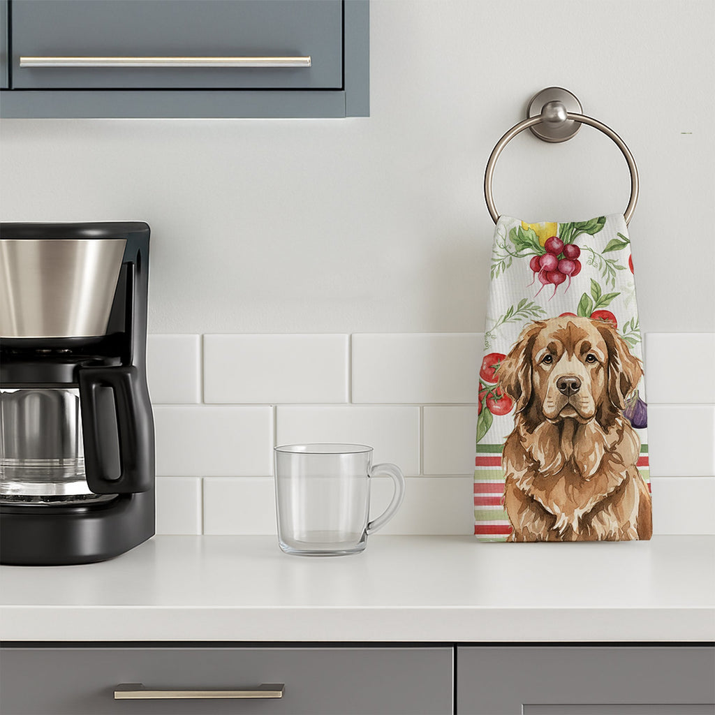 Brown Newfoundland Vegetables Kitchen Towel Velour Plush Front and Cotton Loop Back Machine Washable