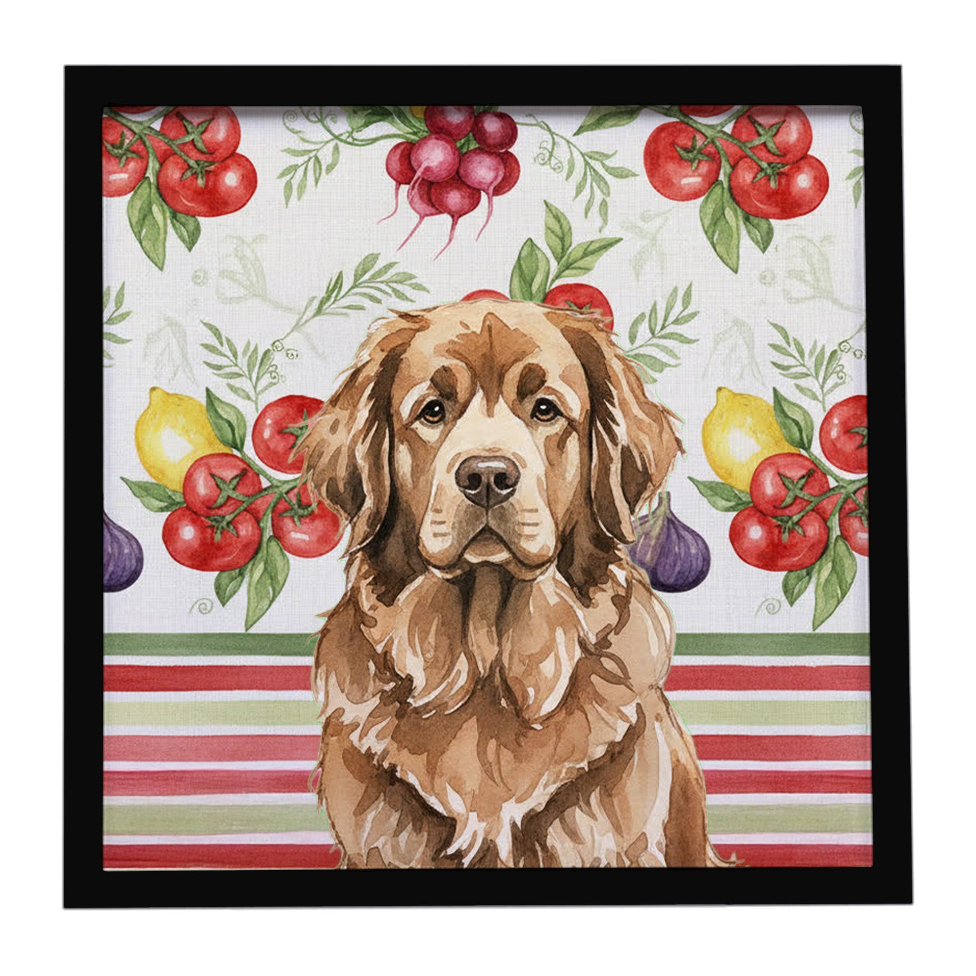 Brown Newfoundland Vegetables Framed Metal Print Bathroom, Kitchen, Office, Home Decor Wall Art Ready to Hang, Square, 8X8