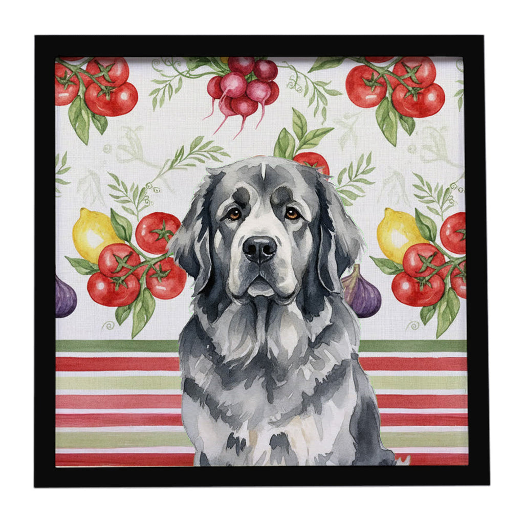 Gray Newfoundland Vegetables Framed Metal Print Bathroom, Kitchen, Office, Home Decor Wall Art Ready to Hang, Square, 8X8