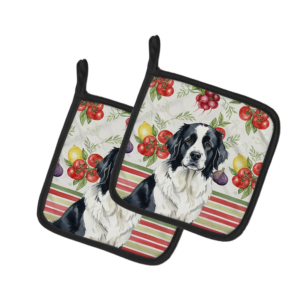 Landseer Newfoundland Vegetables Pot Holder Set of 2 Heat Resistant Quilted Hot Pads 7.5 x 7.5 Inch, Insulated Kitchen Trivets for Cooking & Baking