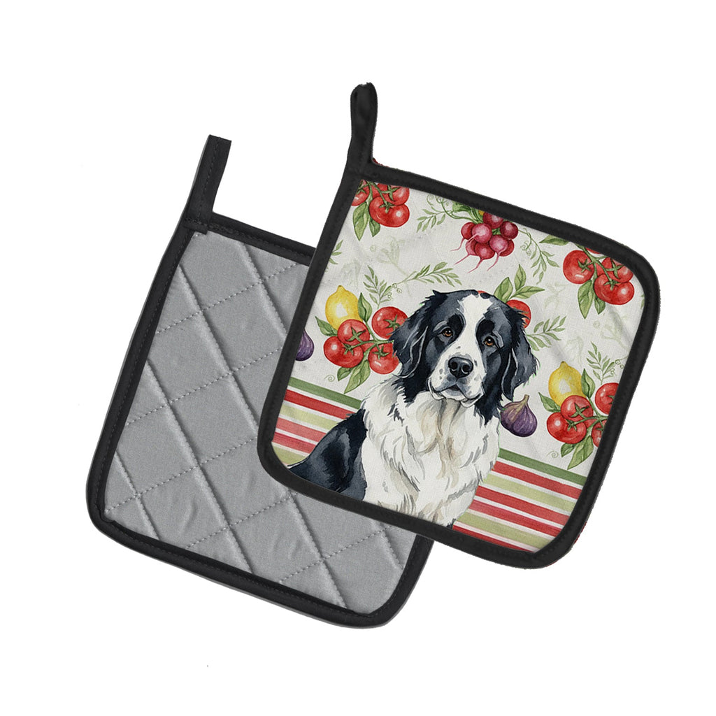 Landseer Newfoundland Vegetables Pot Holder Set of 2 Heat Resistant Quilted Hot Pads 7.5 x 7.5 Inch, Insulated Kitchen Trivets for Cooking & Baking