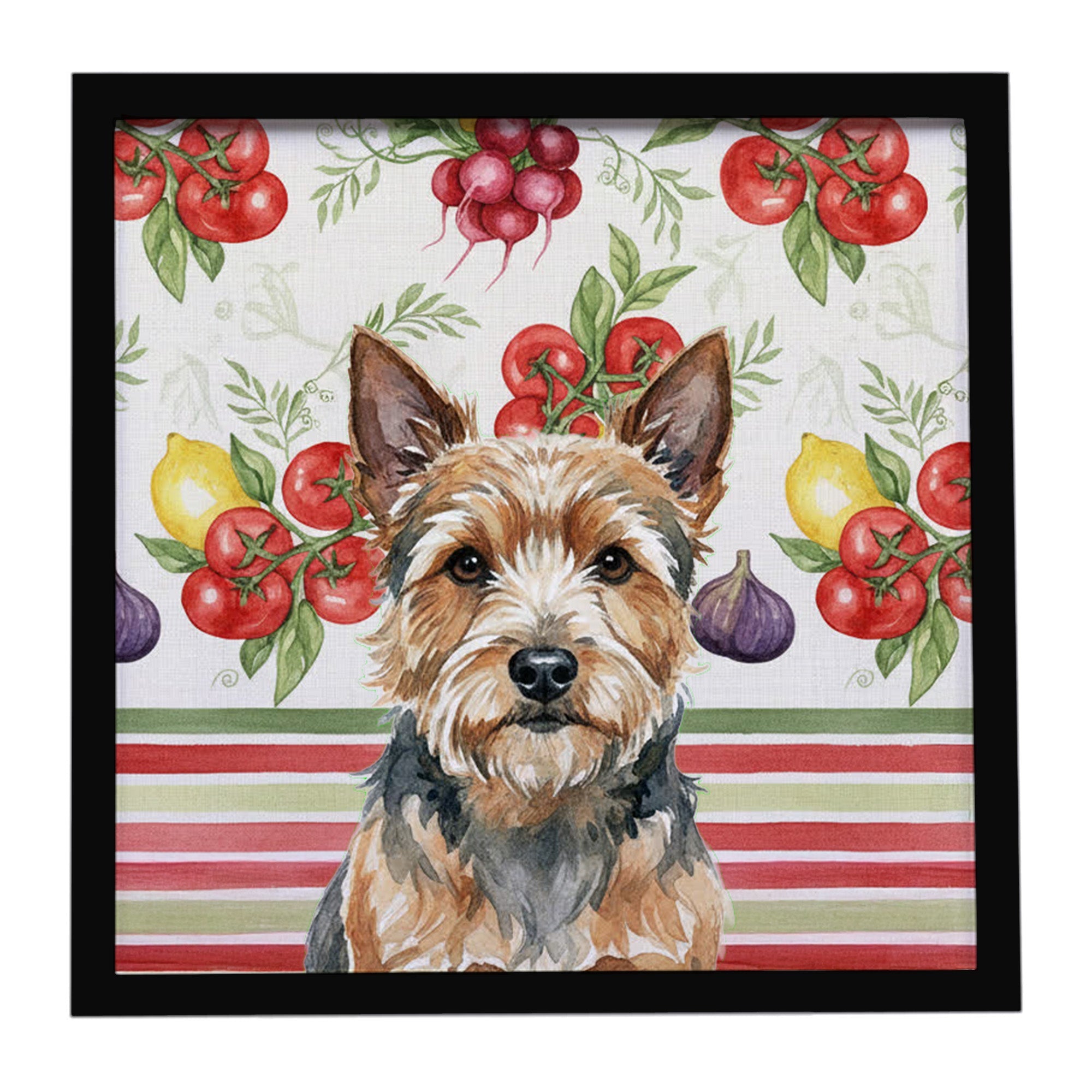 Norwich Terrier Vegetables Framed Metal Print Bathroom, Kitchen, Office, Home Decor Wall Art Ready to Hang, Square, 8X8