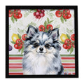Blue Merle Pomeranian Vegetables Framed Metal Print Bathroom, Kitchen, Office, Home Decor Wall Art Ready to Hang, Square, 8X8