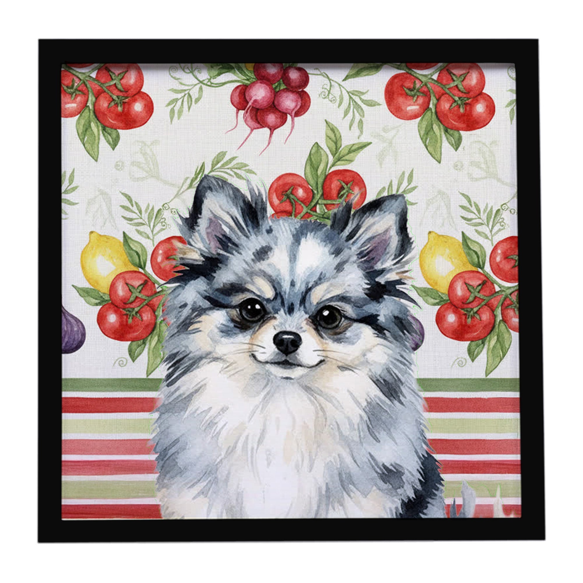 Blue Merle Pomeranian Vegetables Framed Metal Print Bathroom, Kitchen, Office, Home Decor Wall Art Ready to Hang, Square, 8X8
