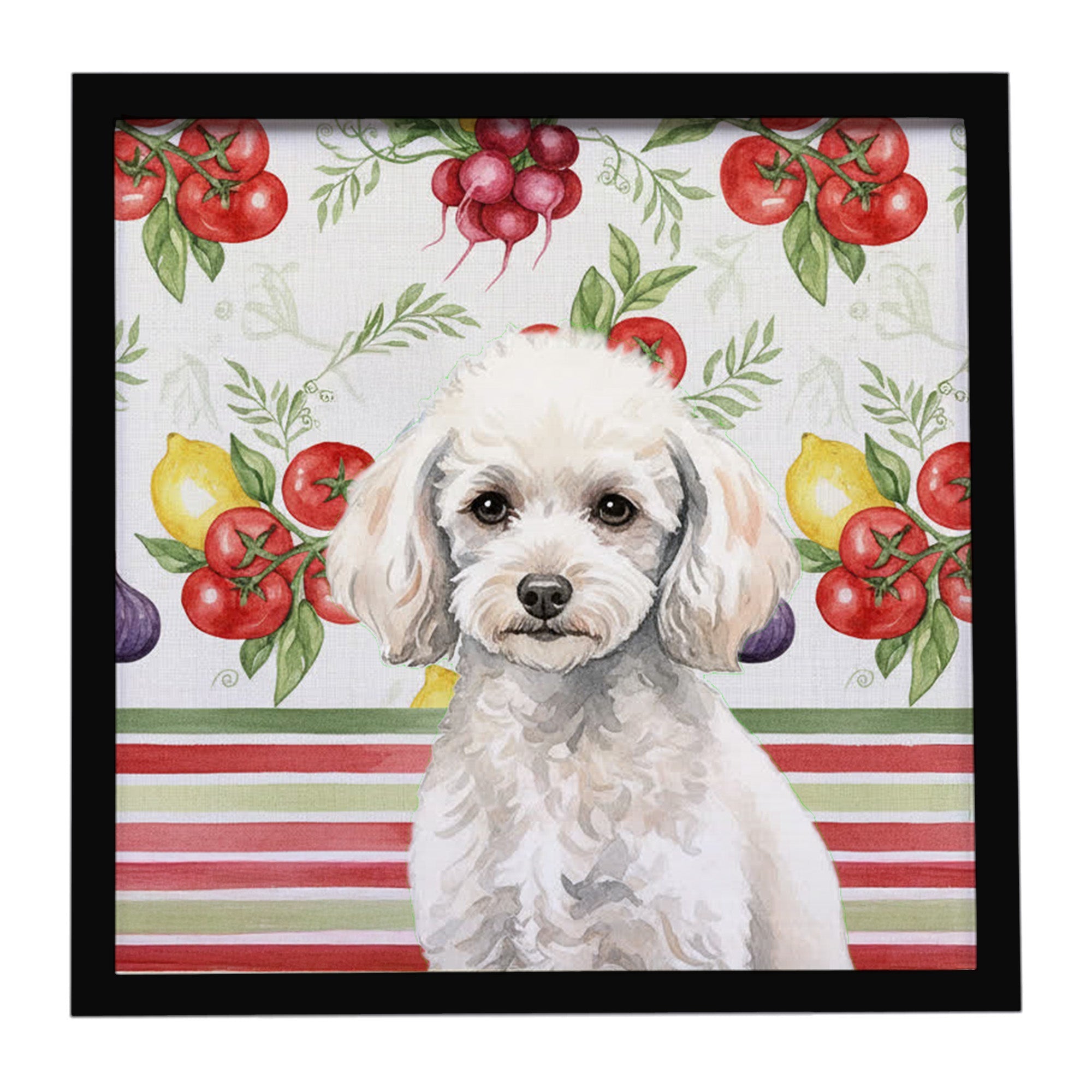 Miniature White Poodle Vegetables Framed Metal Print Bathroom, Kitchen, Office, Home Decor Wall Art Ready to Hang, Square, 8X8