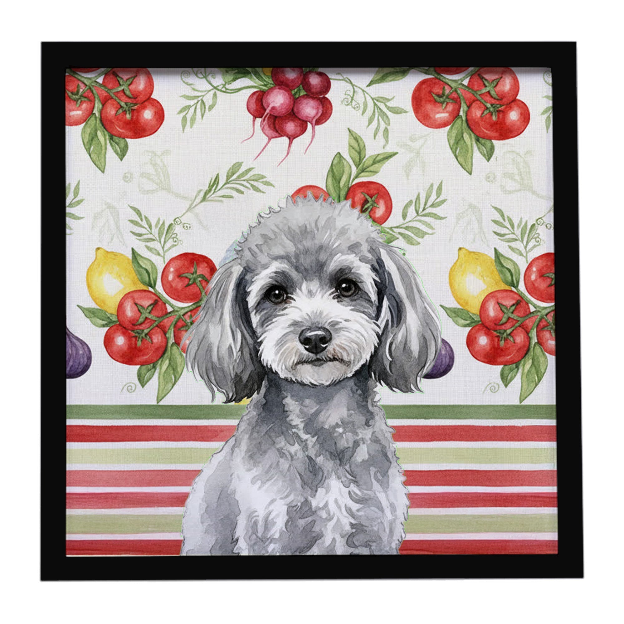 Toy Silver Poodle Vegetables Framed Metal Print Bathroom, Kitchen, Office, Home Decor Wall Art Ready to Hang, Square, 8X8