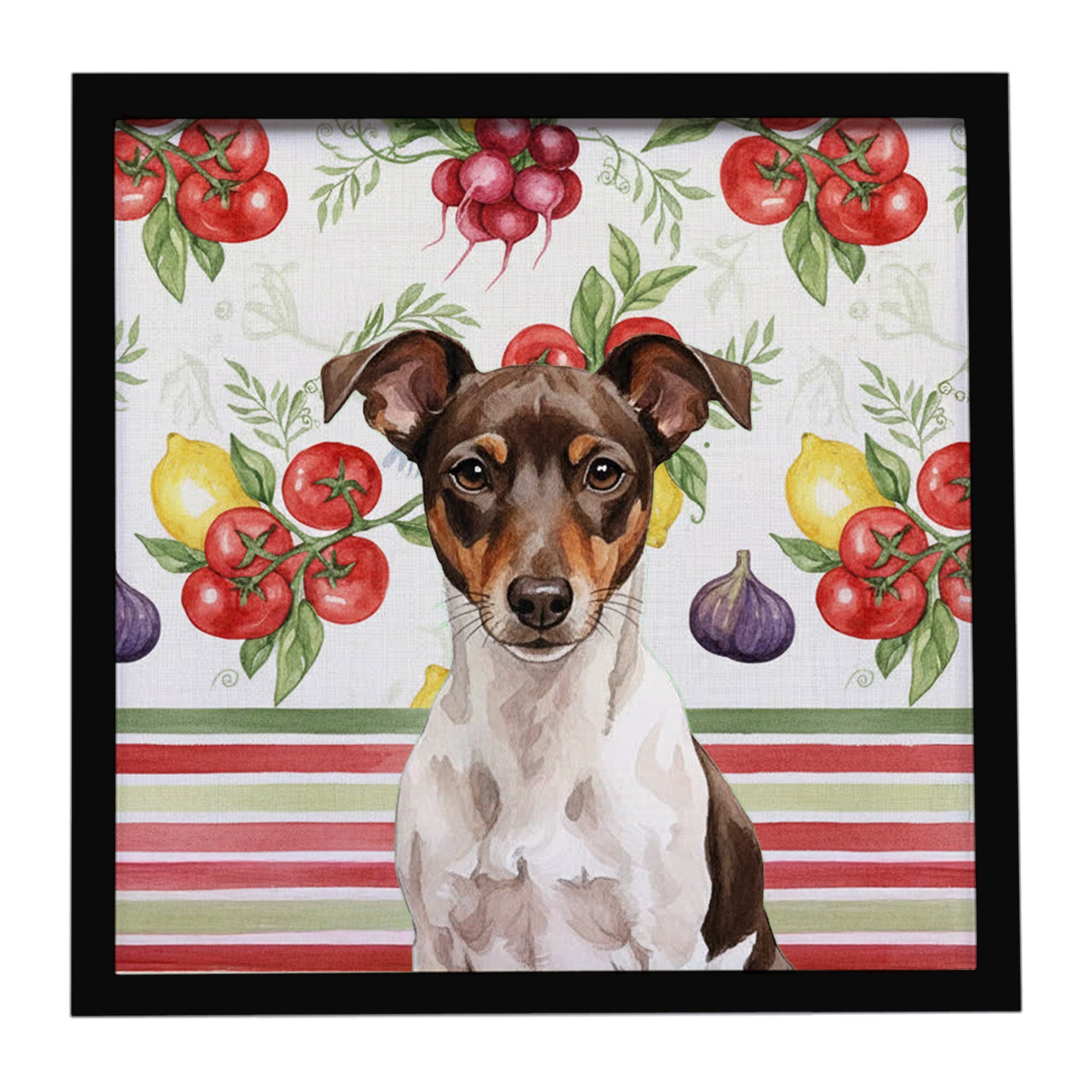 Chocolate and White Rat Terrier Vegetables Framed Metal Print Bathroom, Kitchen, Office, Home Decor Wall Art Ready to Hang, Square, 8X8
