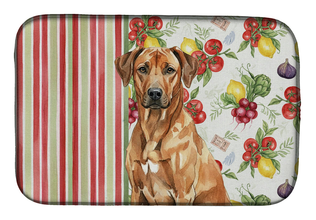 Rhodesian Ridgeback Vegetables Dish Drying Mat Absorbent Dish Drying Mat Pad for Kitchen Counter Dish Drainer Mat for Countertop, 14 x 21", Multicolor