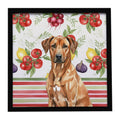 Rhodesian Ridgeback Vegetables Framed Metal Print Bathroom, Kitchen, Office, Home Decor Wall Art Ready to Hang, Square, 8X8