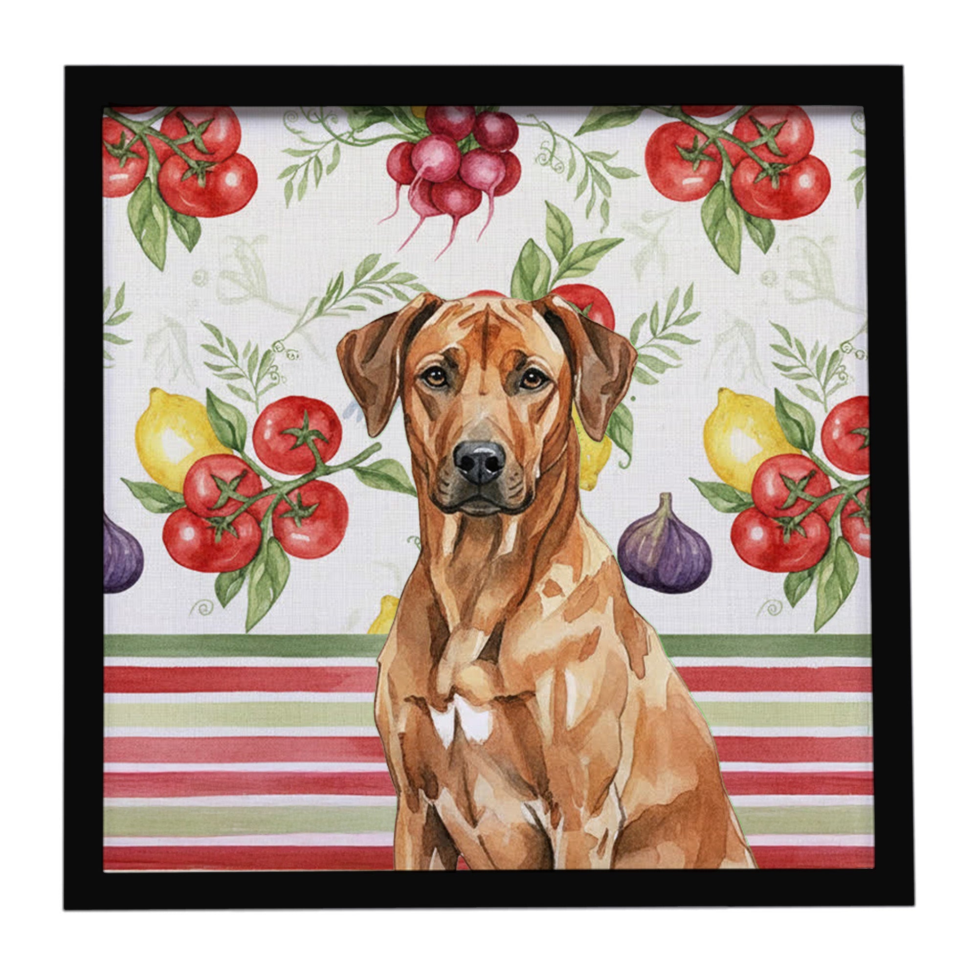 Rhodesian Ridgeback Vegetables Framed Metal Print Bathroom, Kitchen, Office, Home Decor Wall Art Ready to Hang, Square, 8X8