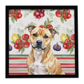 Fawn Staffordshire Bull Terrier Vegetables Framed Metal Print Bathroom, Kitchen, Office, Home Decor Wall Art Ready to Hang, Square, 8X8