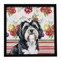 Black and White Tibetan Terrier Vegetables Framed Metal Print Bathroom, Kitchen, Office, Home Decor Wall Art Ready to Hang, Square, 8X8
