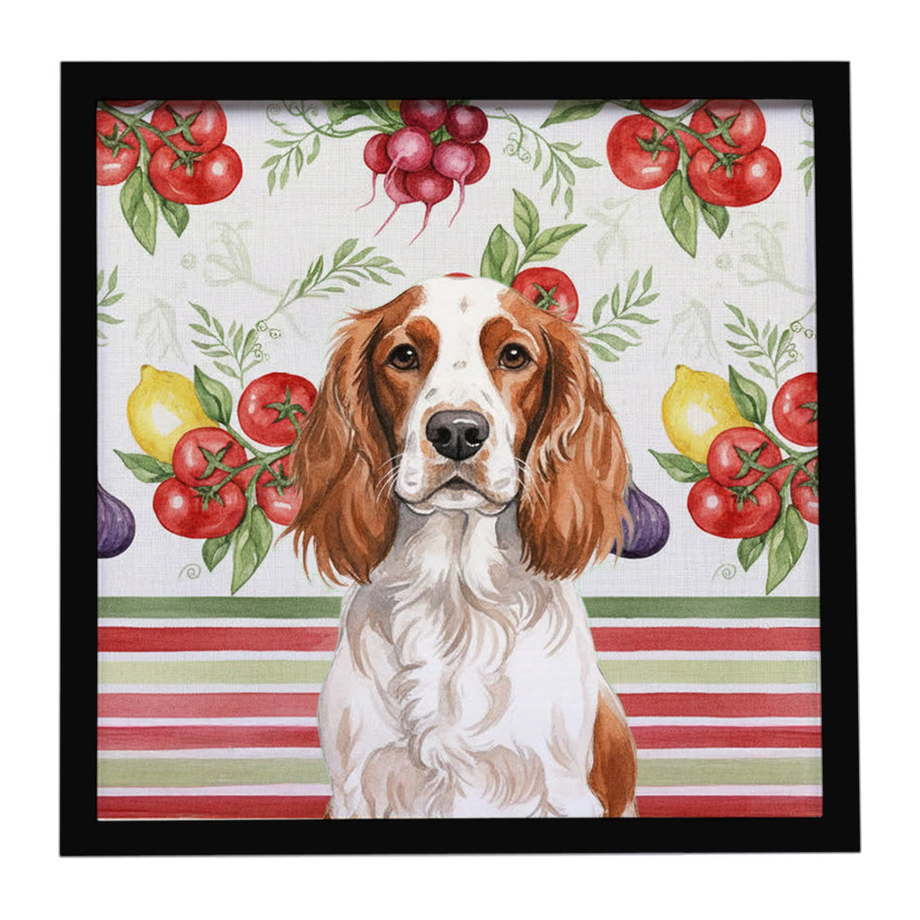 Welsh Springer Spaniel Vegetables Framed Metal Print Bathroom, Kitchen, Office, Home Decor Wall Art Ready to Hang, Square, 8X8