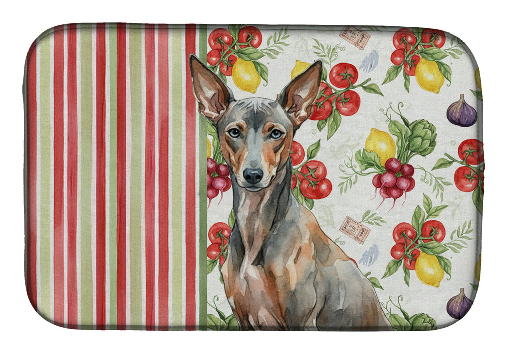 Xoloitzcuintli Vegetables Dish Drying Mat Absorbent Dish Drying Mat Pad for Kitchen Counter Dish Drainer Mat for Countertop, 14 x 21", Multicolor