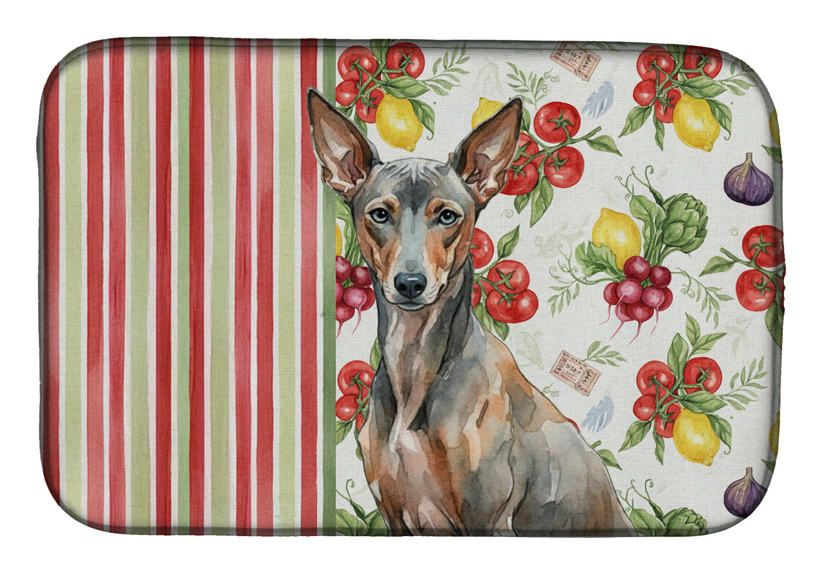 Xoloitzcuintli Vegetables Dish Drying Mat Absorbent Dish Drying Mat Pad for Kitchen Counter Dish Drainer Mat for Countertop, 14 x 21", Multicolor
