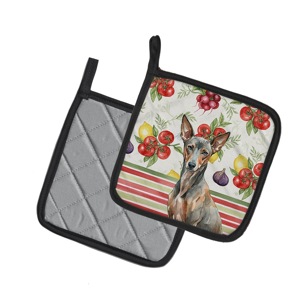 Xoloitzcuintli Vegetables Pot Holder Set of 2 Heat Resistant Quilted Hot Pads 7.5 x 7.5 Inch, Insulated Kitchen Trivets for Cooking & Baking