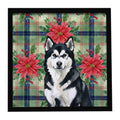 Black and White Alaskan Malamute Christmas PoinsettIas Framed Metal Print Bathroom, Kitchen, Office, Home Decor Wall Art Ready to Hang, Square, 8X8