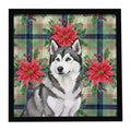 Gray and White Alaskan Malamute Christmas PoinsettIas Framed Metal Print Bathroom, Kitchen, Office, Home Decor Wall Art Ready to Hang, Square, 8X8