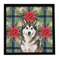 Sable and White Alaskan Malamute Christmas Poinsettas Framed Metal Print Bathroom, Kitchen, Office, Home Decor Wall Art Ready to Hang, Square, 8X8