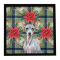 American Hairless Terrier Christmas PoinsettIas Framed Metal Print Bathroom, Kitchen, Office, Home Decor Wall Art Ready to Hang, Square, 8X8