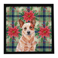 Red Heeler Australian Cattle Dog Christmas PoinsettIas Framed Metal Print Bathroom, Kitchen, Office, Home Decor Wall Art Ready to Hang, Square, 8X8