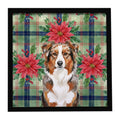 Red Merle Australian Shepherd Christmas PoinsettIas Framed Metal Print Bathroom, Kitchen, Office, Home Decor Wall Art Ready to Hang, Square, 8X8