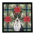 Black and White Basenji Christmas PoinsettIas Framed Metal Print Bathroom, Kitchen, Office, Home Decor Wall Art Ready to Hang, Square, 8X8