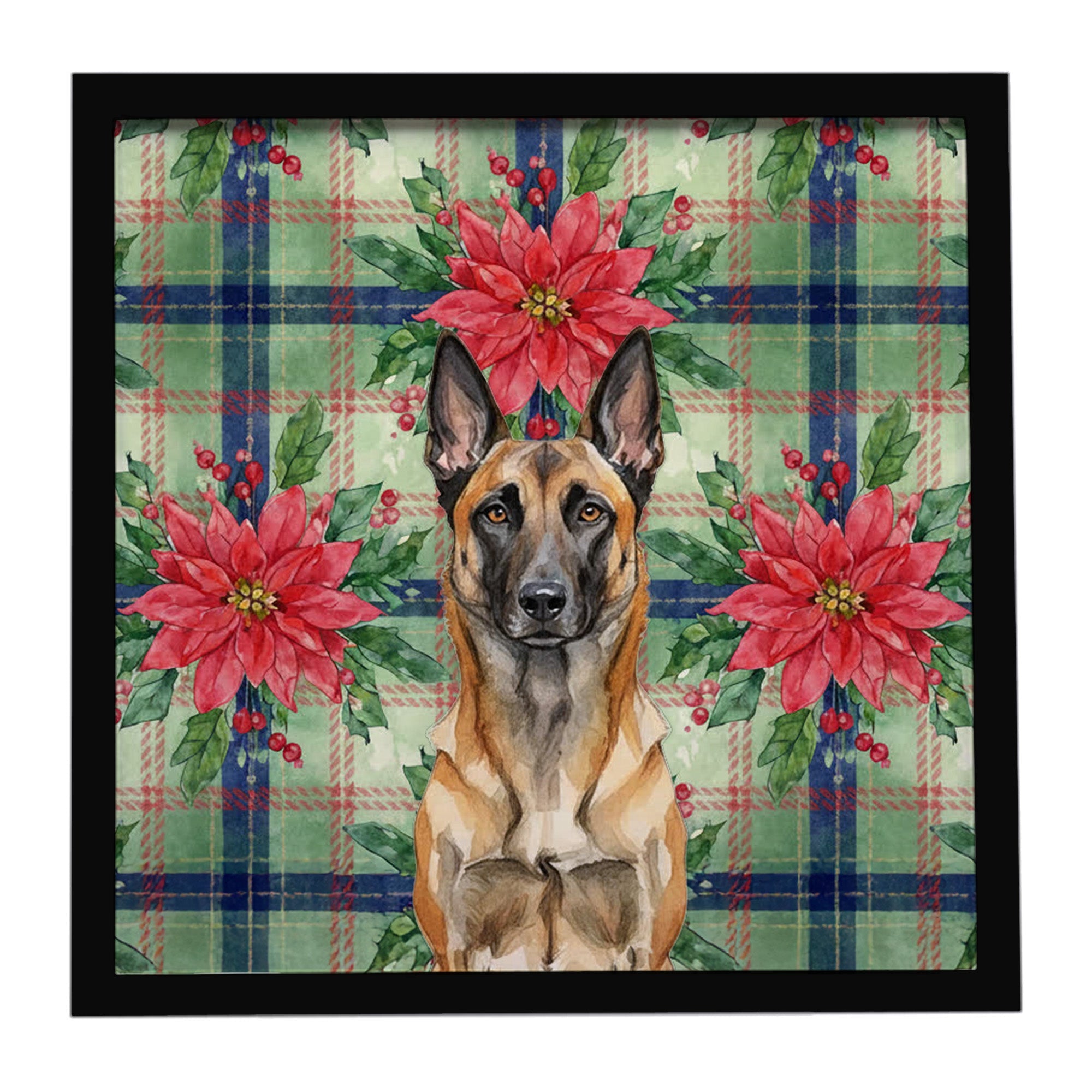 Belgian Malinois Christmas PoinsettIas Framed Metal Print Bathroom, Kitchen, Office, Home Decor Wall Art Ready to Hang, Square, 8X8