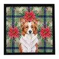 Red and White Border Collie Christmas PoinsettIas Framed Metal Print Bathroom, Kitchen, Office, Home Decor Wall Art Ready to Hang, Square, 8X8