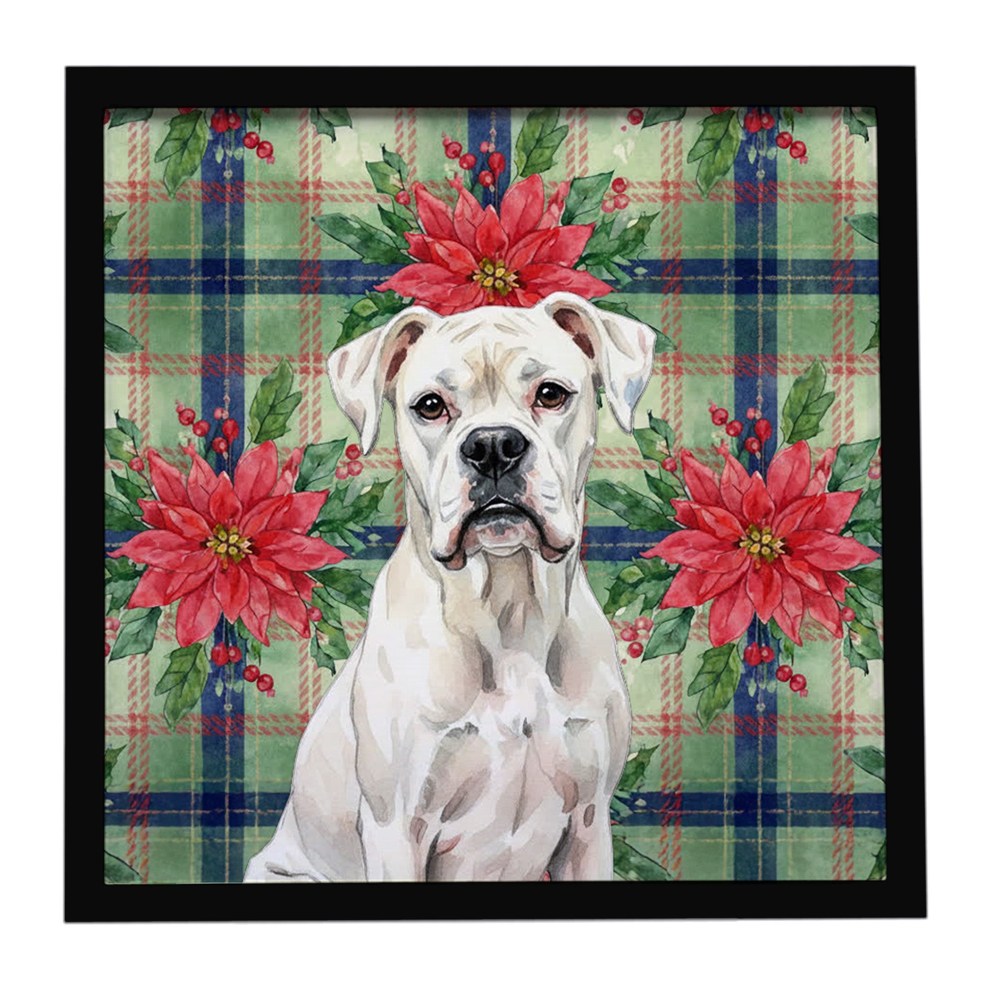 White Boxer Christmas PoinsettIas Framed Metal Print Bathroom, Kitchen, Office, Home Decor Wall Art Ready to Hang, Square, 8X8