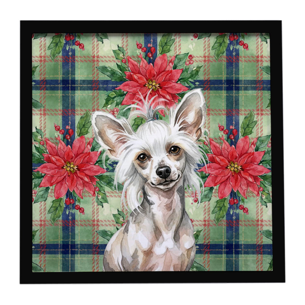 Hairless Mottled Pattern Chinese Crested Christmas PoinsettIas Framed Metal Print Bathroom, Kitchen, Office, Home Decor Wall Art Ready to Hang, Square, 8X8